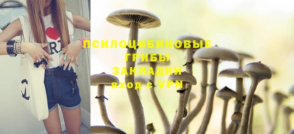 сатива Абинск