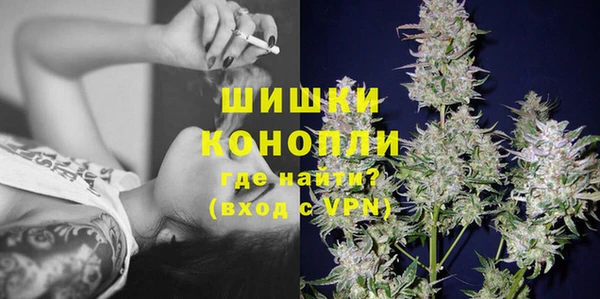 сатива Абинск